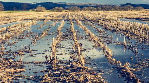 Aléas climatiques : les agriculteurs dans le viseur des assurances privées image
