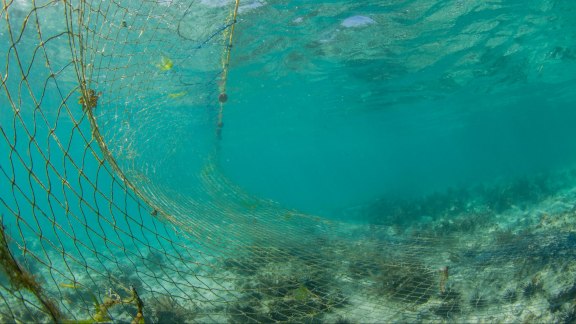 Pêche illégale et exploration pétrolière offshore : la mer d’Argentine en danger image