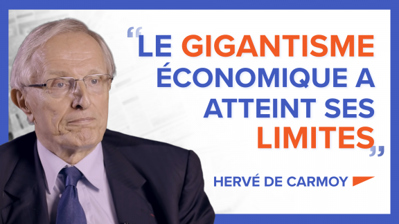 « Le gigantisme économique a atteint ses limites » - Hervé de Carmoy image