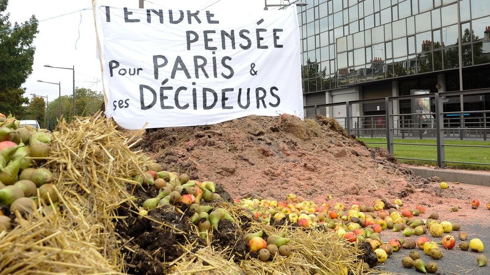Coût de l'électricité : les agriculteurs français suffoquent