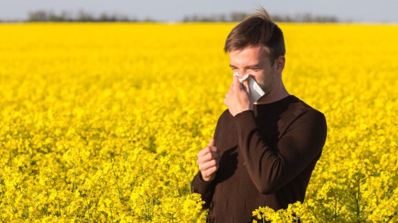 Pollens : des allergies plus intenses et précoces avec le changement climatique image