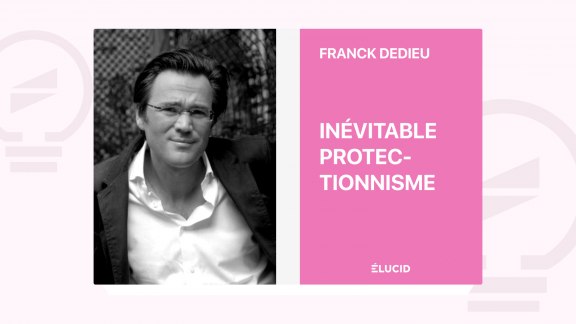 Inévitable Protectionnisme - F. Dedieu, B. Masse-Stamberger, A. de Tricornot image