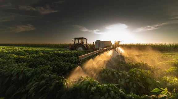 Biocontrôle : une alternative efficace pour en finir avec les pesticides image