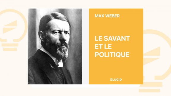 Le Savant et le Politique - Max Weber image