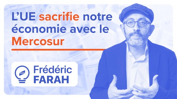 Mercosur : l’UE sacrifie notre économie sur l’autel du libre-échange - Frédéric Farah image