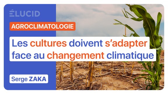 « Face au changement climatique, les cultures doivent s’adapter au terroir » - Serge Zaka image