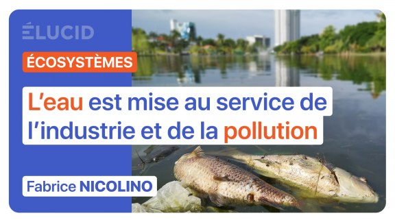 « L'eau est mise au service de l'industrie et de la pollution » - Fabrice Nicolino image