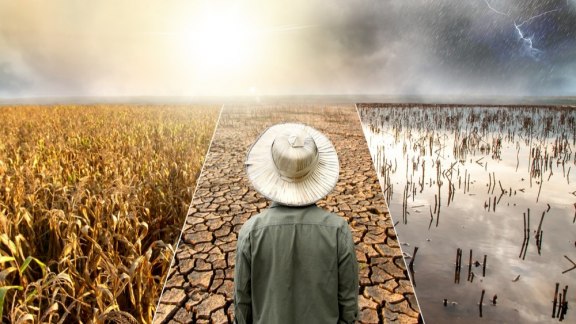 Entre sécheresses et déluges, le cycle de l’eau en proie au chaos image