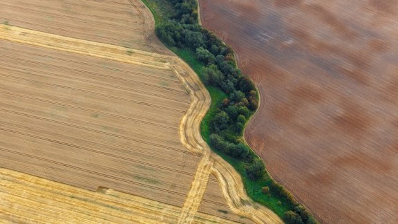 Dégradation des terres agricoles : la sécurité alimentaire mondiale est-elle en danger ? image