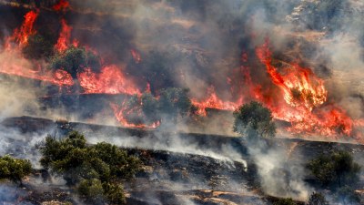 Quand Israël fait de l’écocide une arme de guerre au Proche-Orient