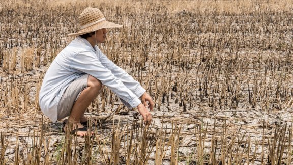 Guerre d'Iran, El Niño : la crise alimentaire viendra d'abord de la politique image